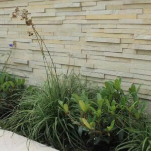 mint fossil z cladding